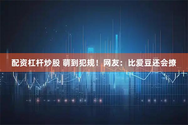 配资杠杆炒股 萌到犯规！网友：比爱豆还会撩
